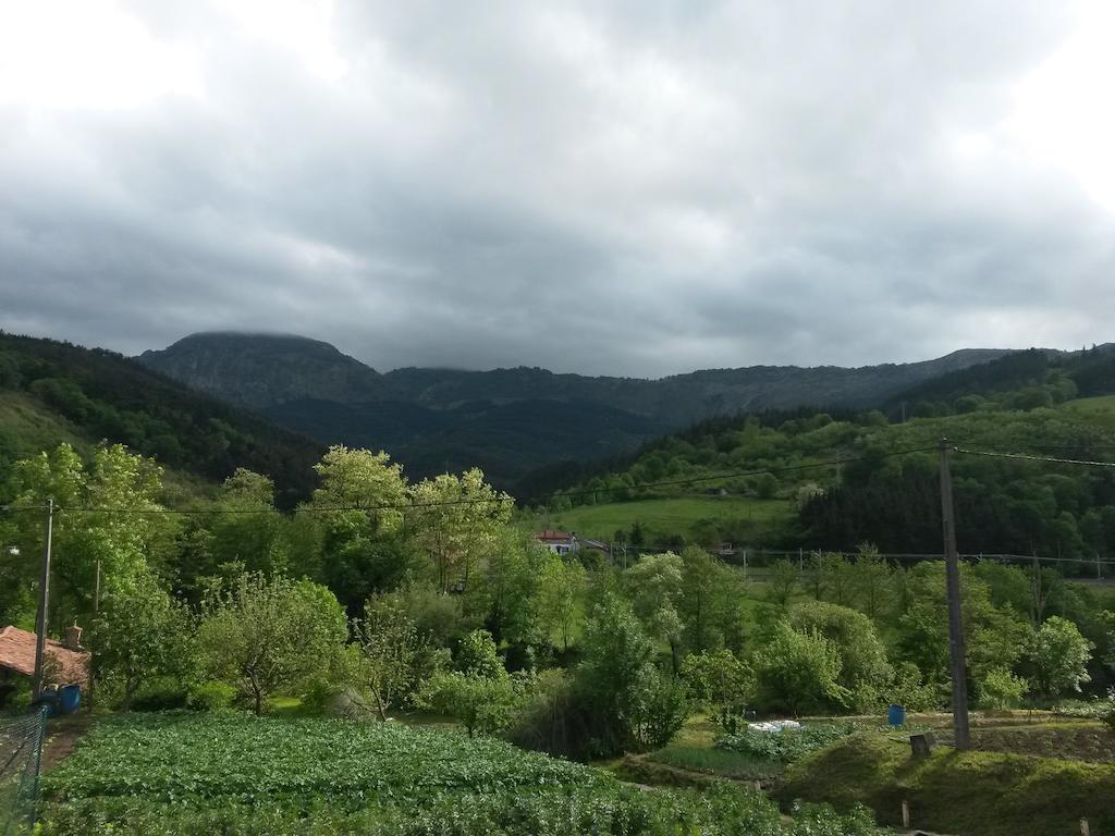 Pension Bide-Ondo Аморебиета-Етхано Екстериор снимка